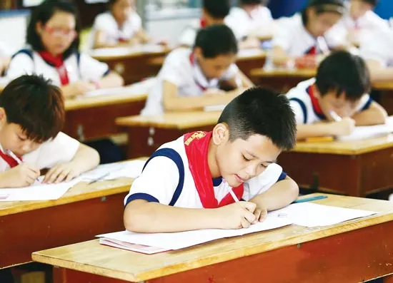 Việc dạy thêm, học thêm được tổ chức trong nhà trường trên cơ sở tự nguyện